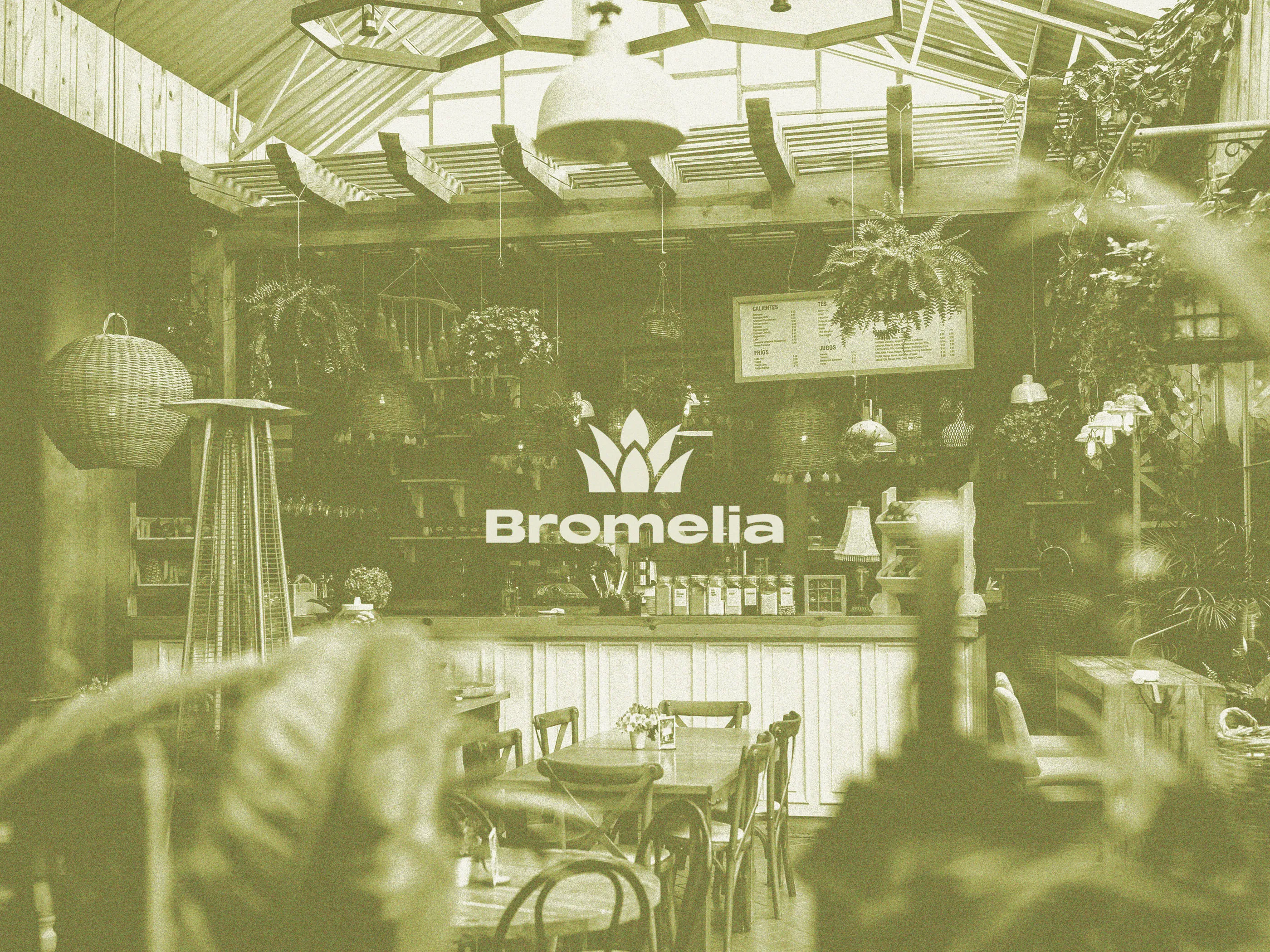 bromelia cover