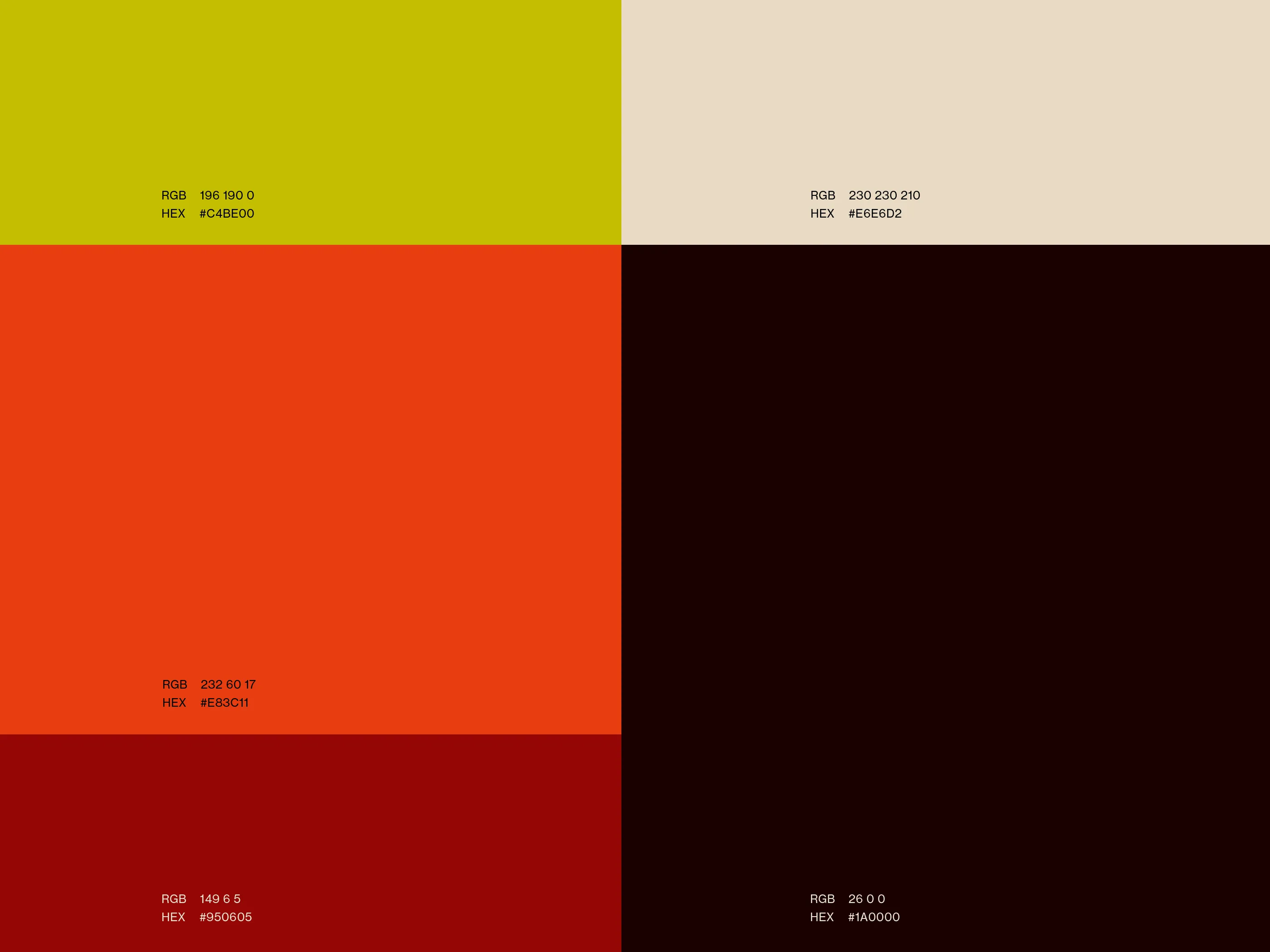 color palette