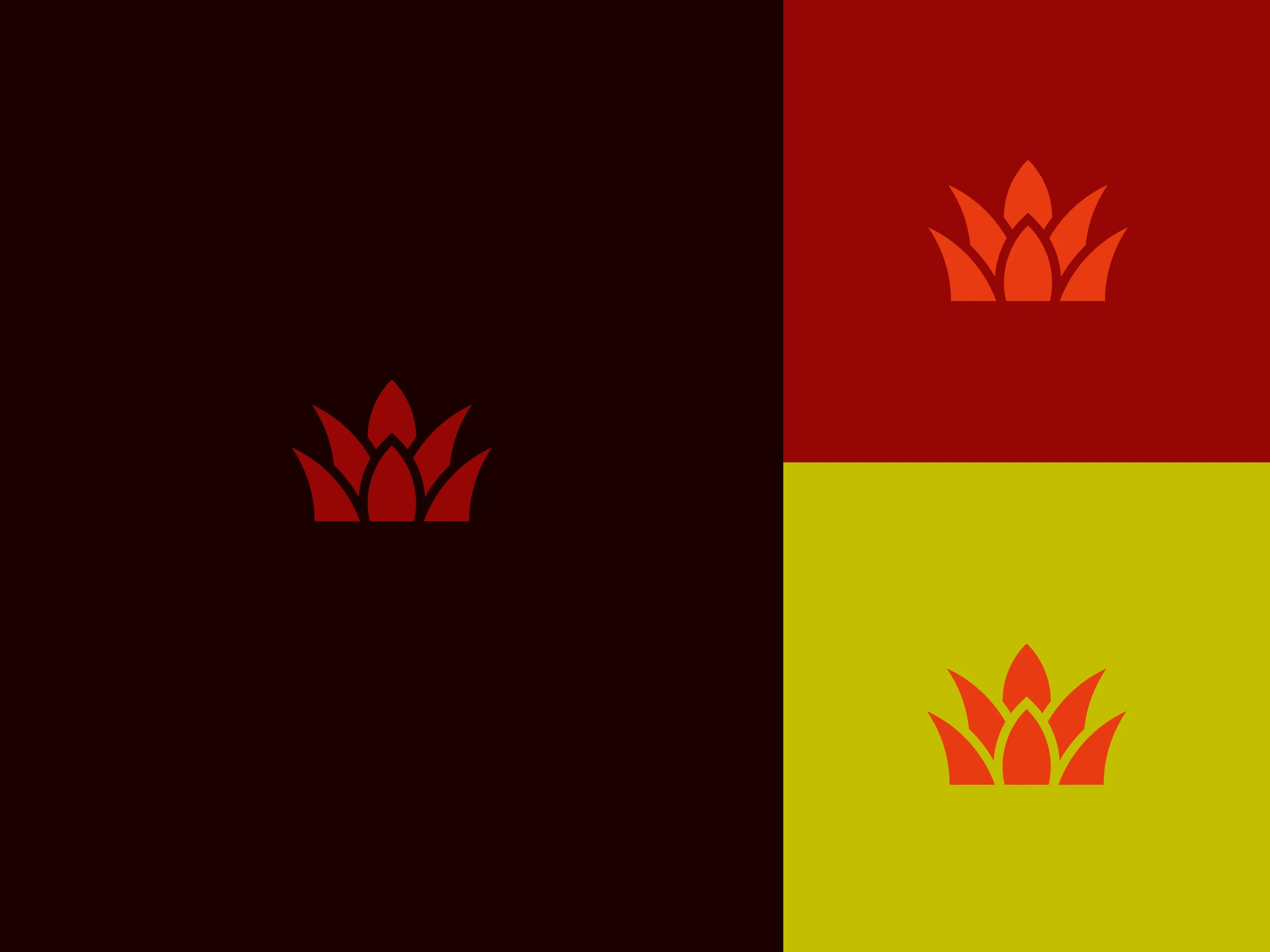 logo on color