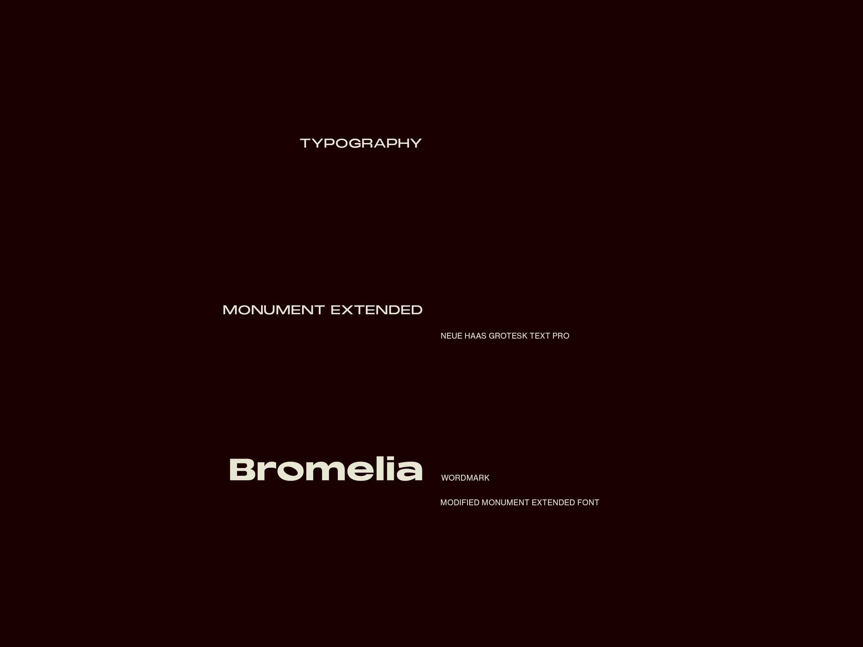 brand typogrpahy