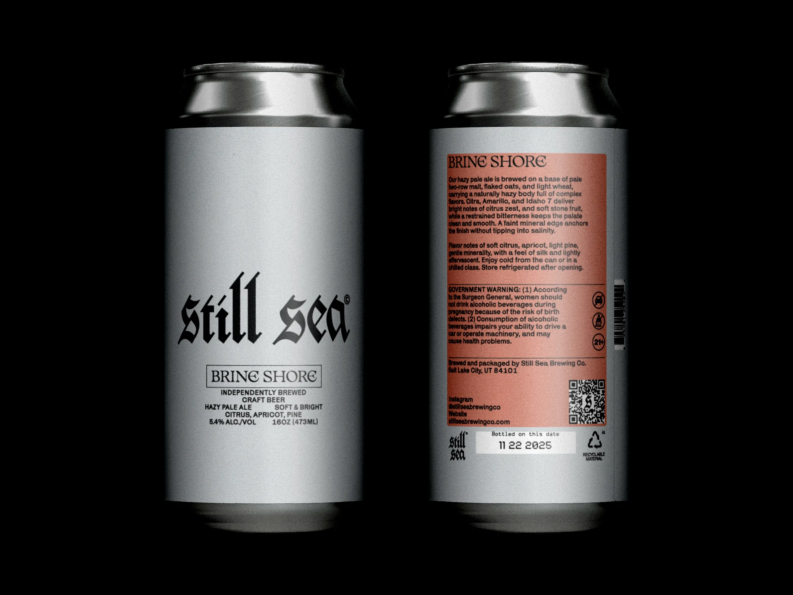 Brine Shore Beer Can Mockup