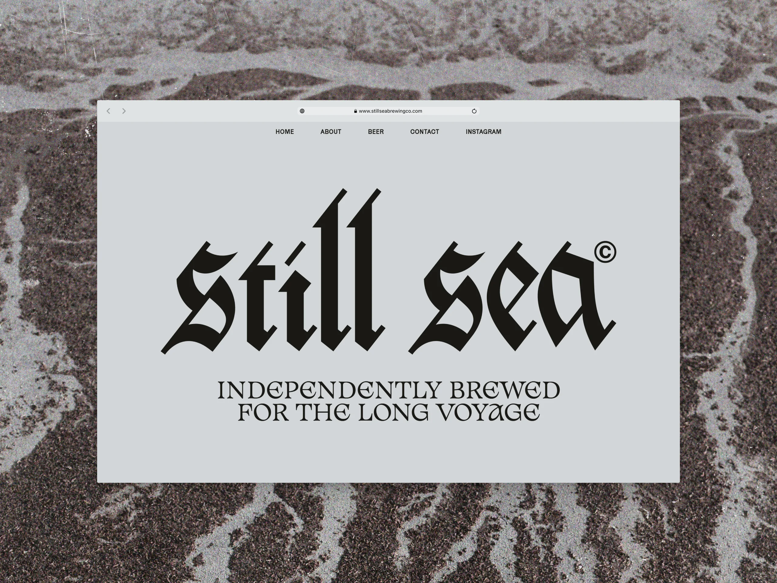 Website Desktop Hero Section